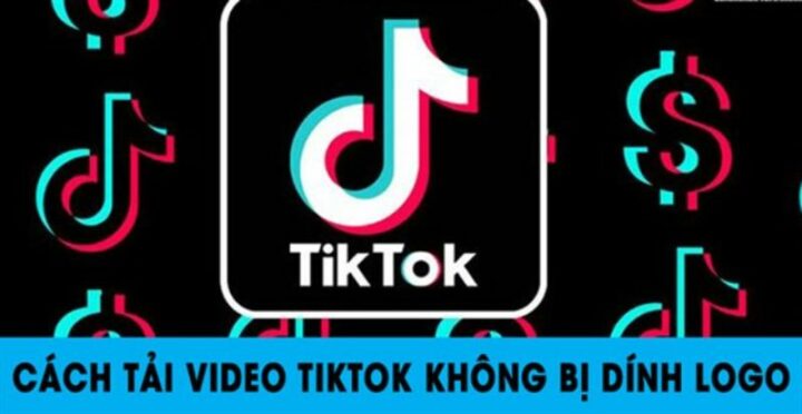 tải video TikTok trên máy tính