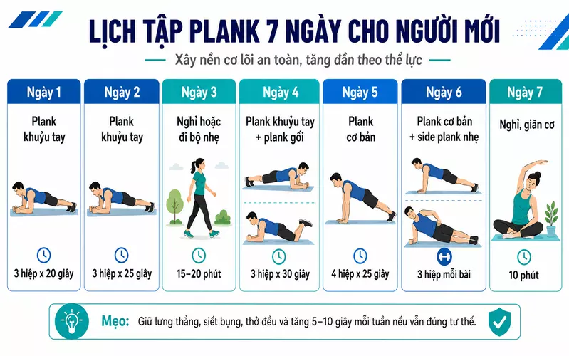 Lịch tập plank 7 ngày giúp người mới làm quen tư thế, tăng dần thời gian và xây nền cơ lõi an toàn.